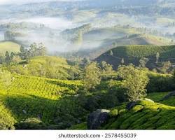 Munnar Travel Guide 2026